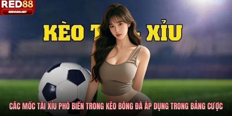 Các mốc tài xỉu phổ biến trong kèo bóng đá áp dụng trong bảng cược