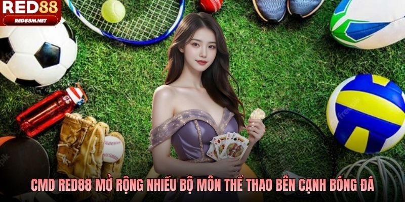 CMD Red88 mở rộng nhiều bộ môn thể thao bên cạnh bóng đá