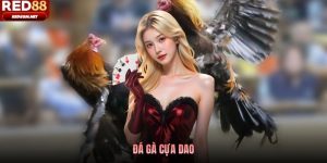 Đá Gà Cựa Dao Red88 - Sân Chơi Cá Cược Uy Tín Năm 2026