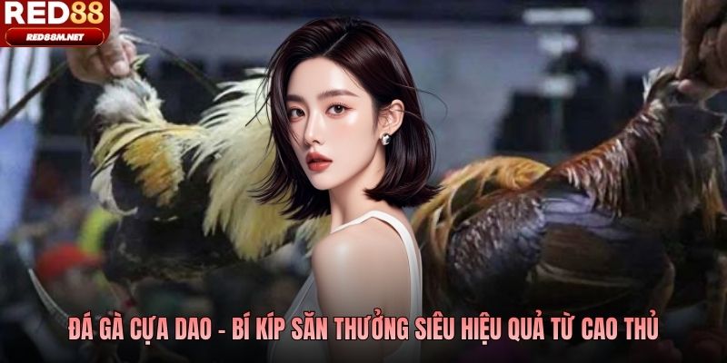 Đá gà cựa dao - Bí kíp săn thưởng siêu hiệu quả từ cao thủ
