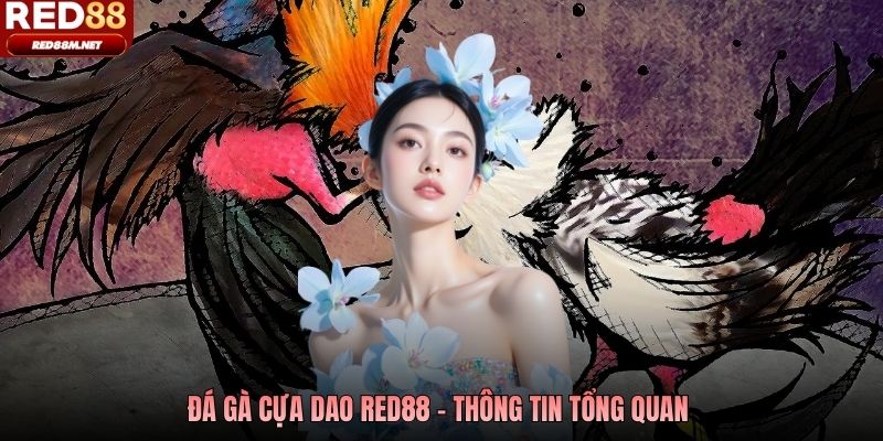 Đá gà cựa dao Red88 - Thông tin tổng quan 