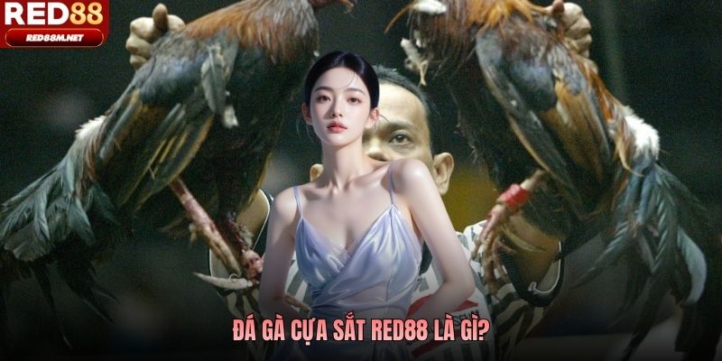 Đá gà cựa sắt Red88 là gì?