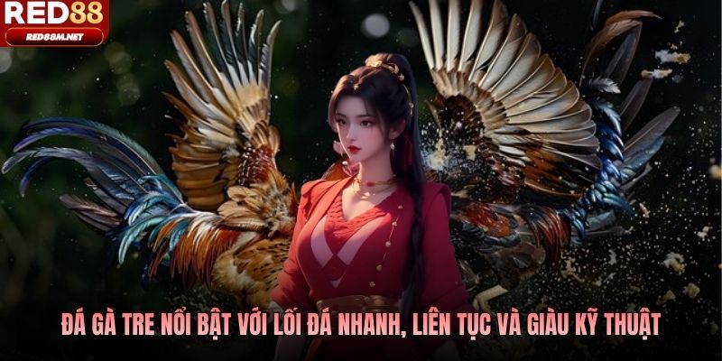 Đá gà tre nổi bật với lối đá nhanh, liên tục và giàu kỹ thuật