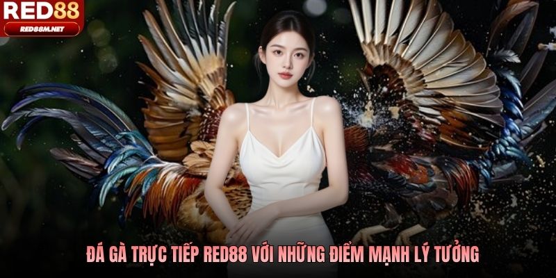 Đá gà trực tiếp Red88 với những điểm mạnh lý tưởng