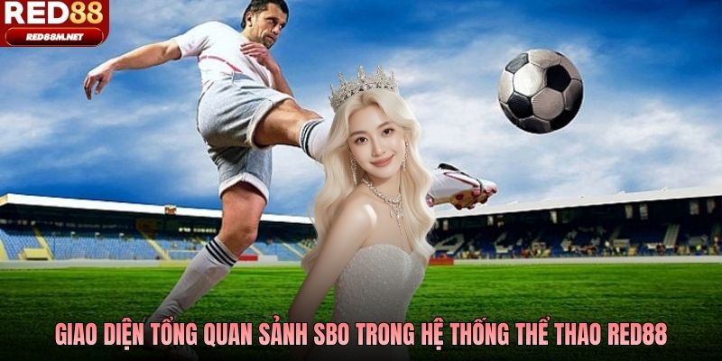 Giao diện tổng quan sảnh SBO trong hệ thống thể thao Red88