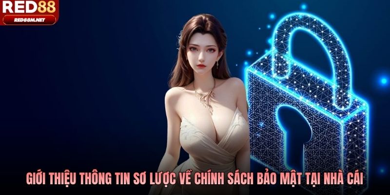 Giới thiệu thông tin sơ lược về chính sách bảo mật tại nhà cái