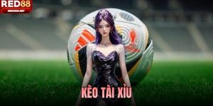 Kèo Tài Xỉu Là Gì? Tổng Quan Tỷ Lệ Và Các Bộ Môn Áp Dụng