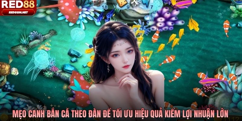 Mẹo canh bắn cá theo đàn để tối ưu hiệu quả kiếm lợi nhuận lớn