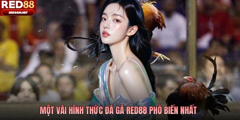 Một vài hình thức đá gà Red88 phổ biến nhất