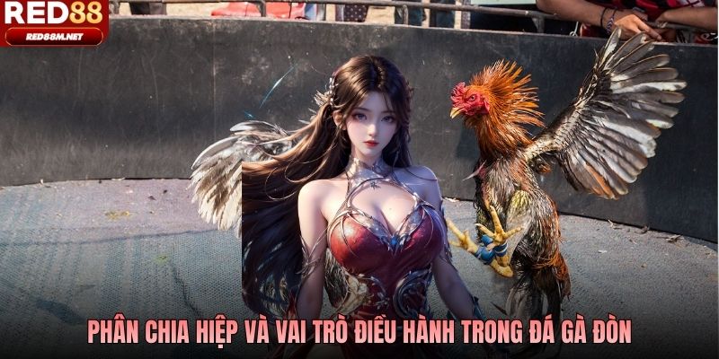 Phân chia hiệp và vai trò điều hành trong đá gà đòn
