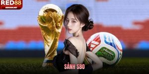 Sảnh SBO - Điểm Quen Thuộc Của Người Yêu Thể Thao Tại Red88