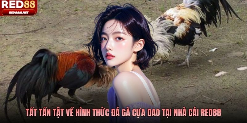 Tất tần tật về hình thức đá gà cựa dao tại nhà cái Red88