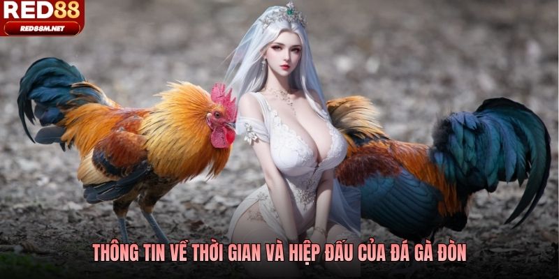 Thông tin về thời gian và hiệp đấu của đá gà đòn