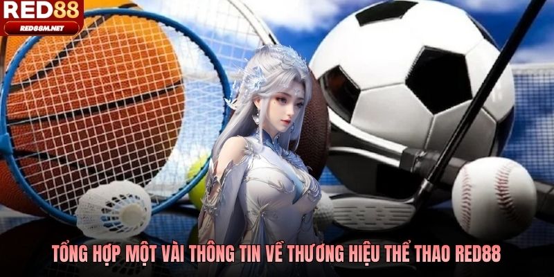 Tổng hợp một vài thông tin về thương hiệu thể thao Red88