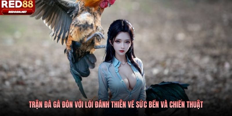 Trận đá gà đòn với lối đánh thiên về sức bền và chiến thuật